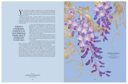 Petal By Adriana Picker