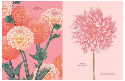 Petal By Adriana Picker