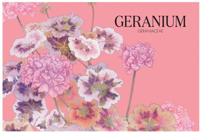 Petal By Adriana Picker