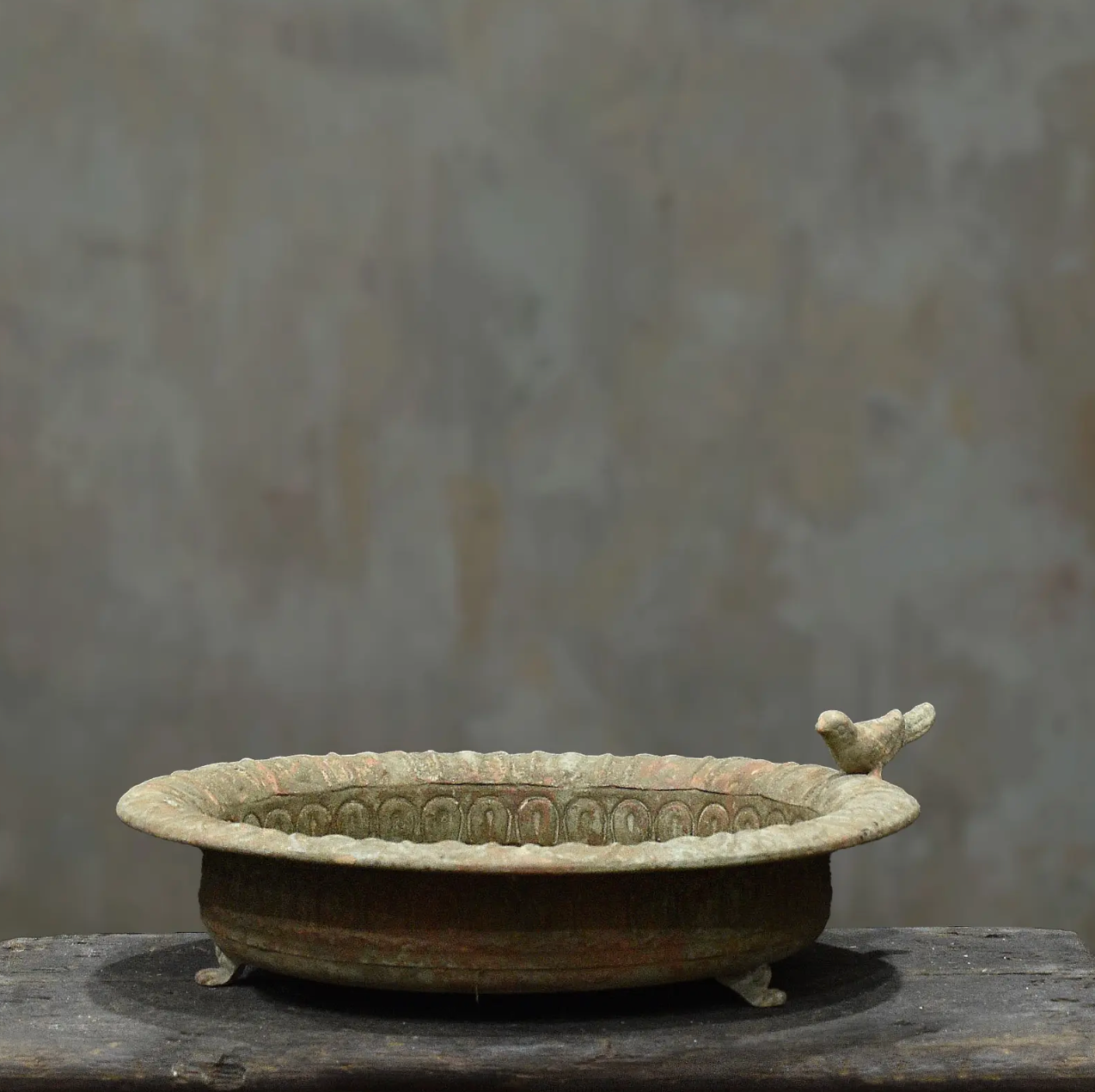 Wicka Paloma Shallow dish Bird Feeder