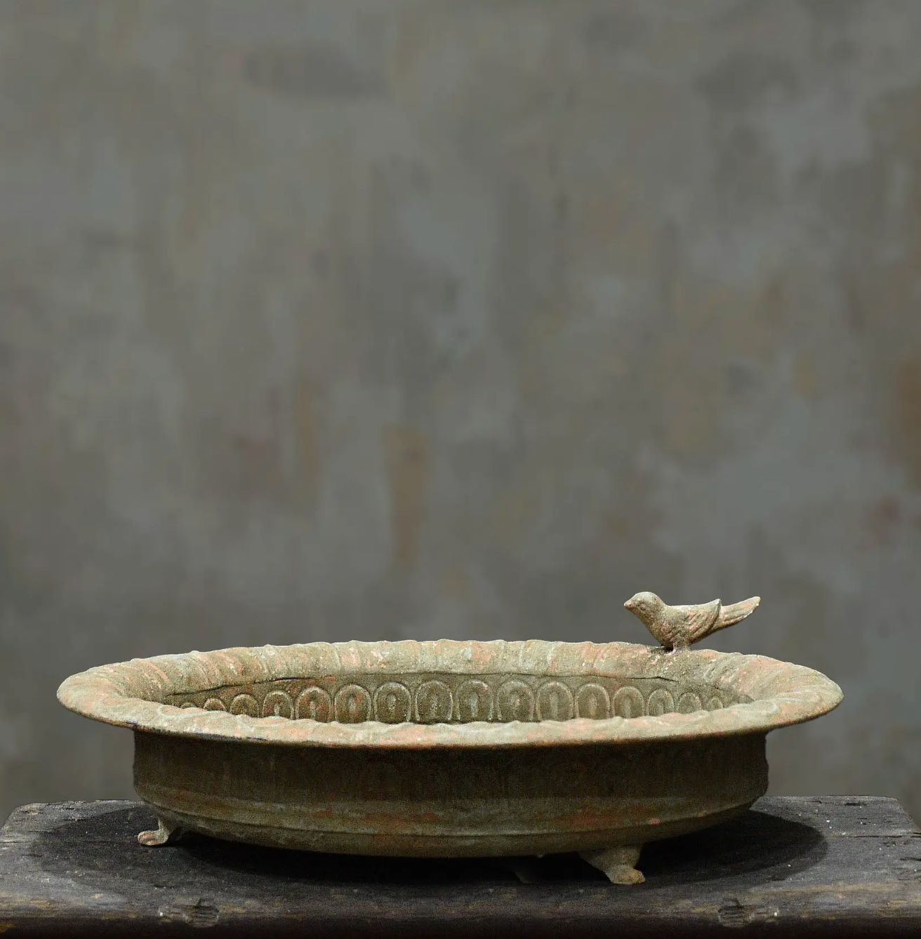 Wicka Paloma Shallow dish Bird Feeder