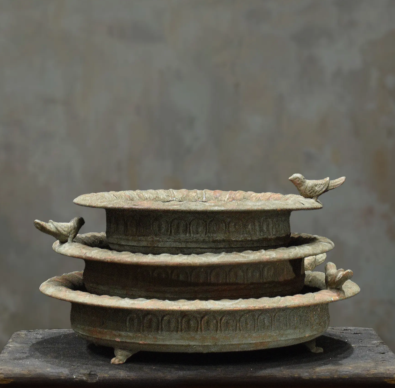 Wicka Paloma Shallow dish Bird Feeder