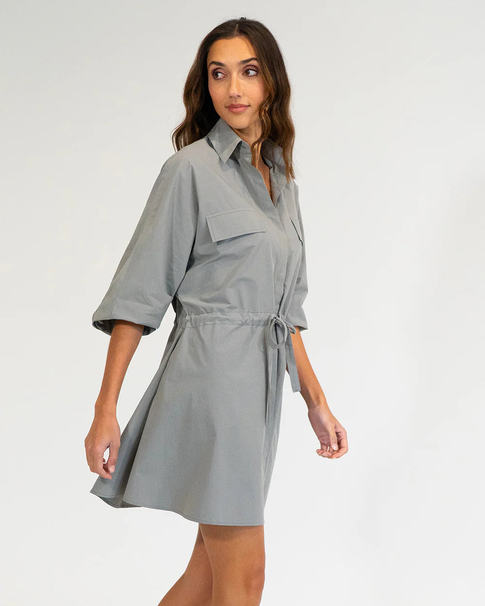 Elms + King Virginia Mini Dress
