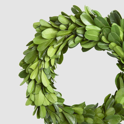 Preserved Boxwood Wreath