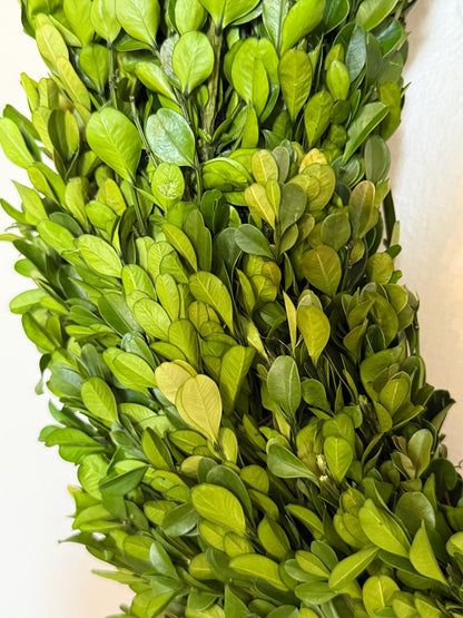 Preserved Boxwood Wreath