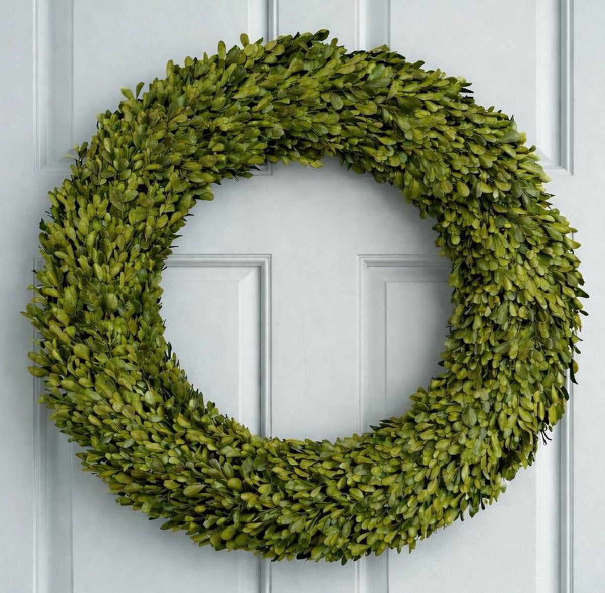 Preserved Boxwood Wreath