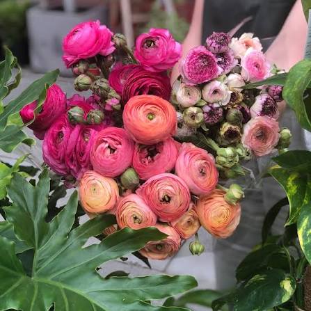 Fresh Blooms