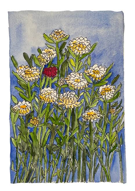 Create Watercolour Art with Robyn Beeston