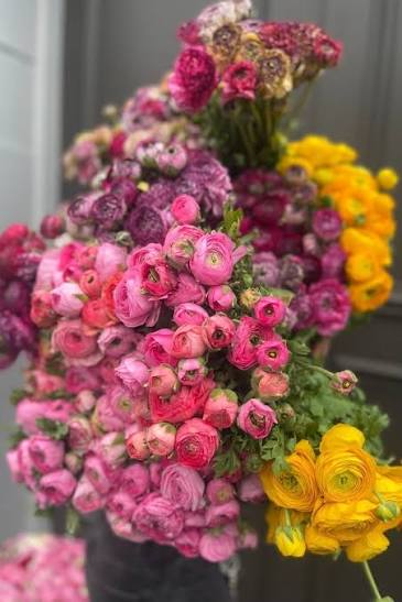Fresh Blooms