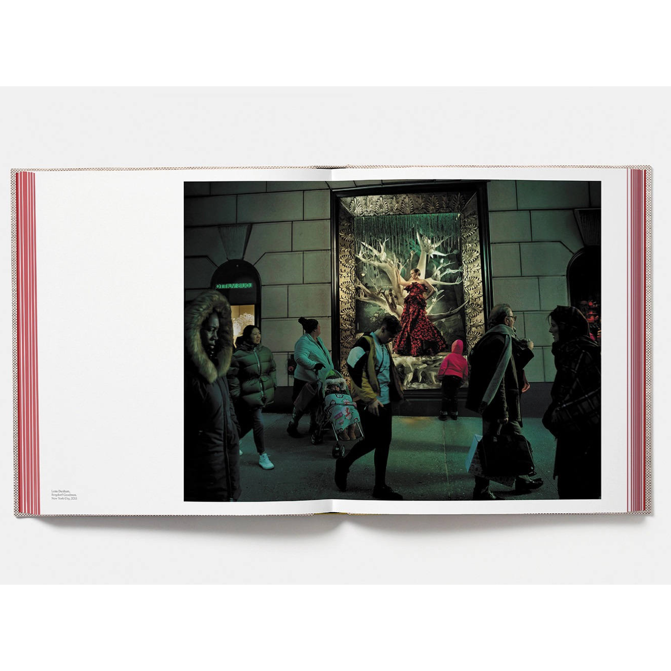 Annie Leibovitz: Wonderland by Annie Leibovitz, Anna Wintour